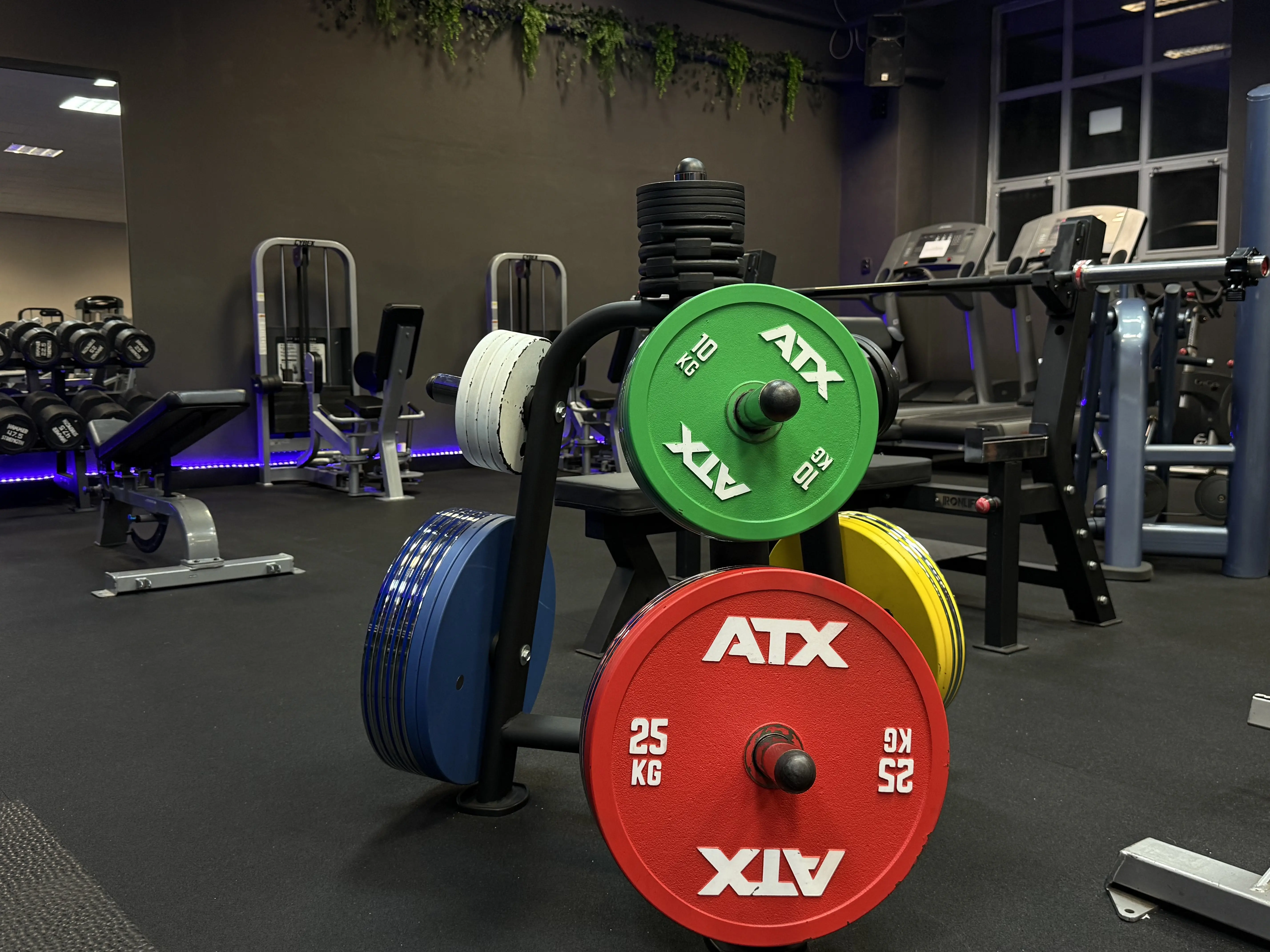 Kalibrované kotouče